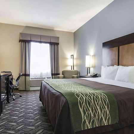 אל פאסו Comfort Inn & Suites I-10 Airport מראה חיצוני תמונה